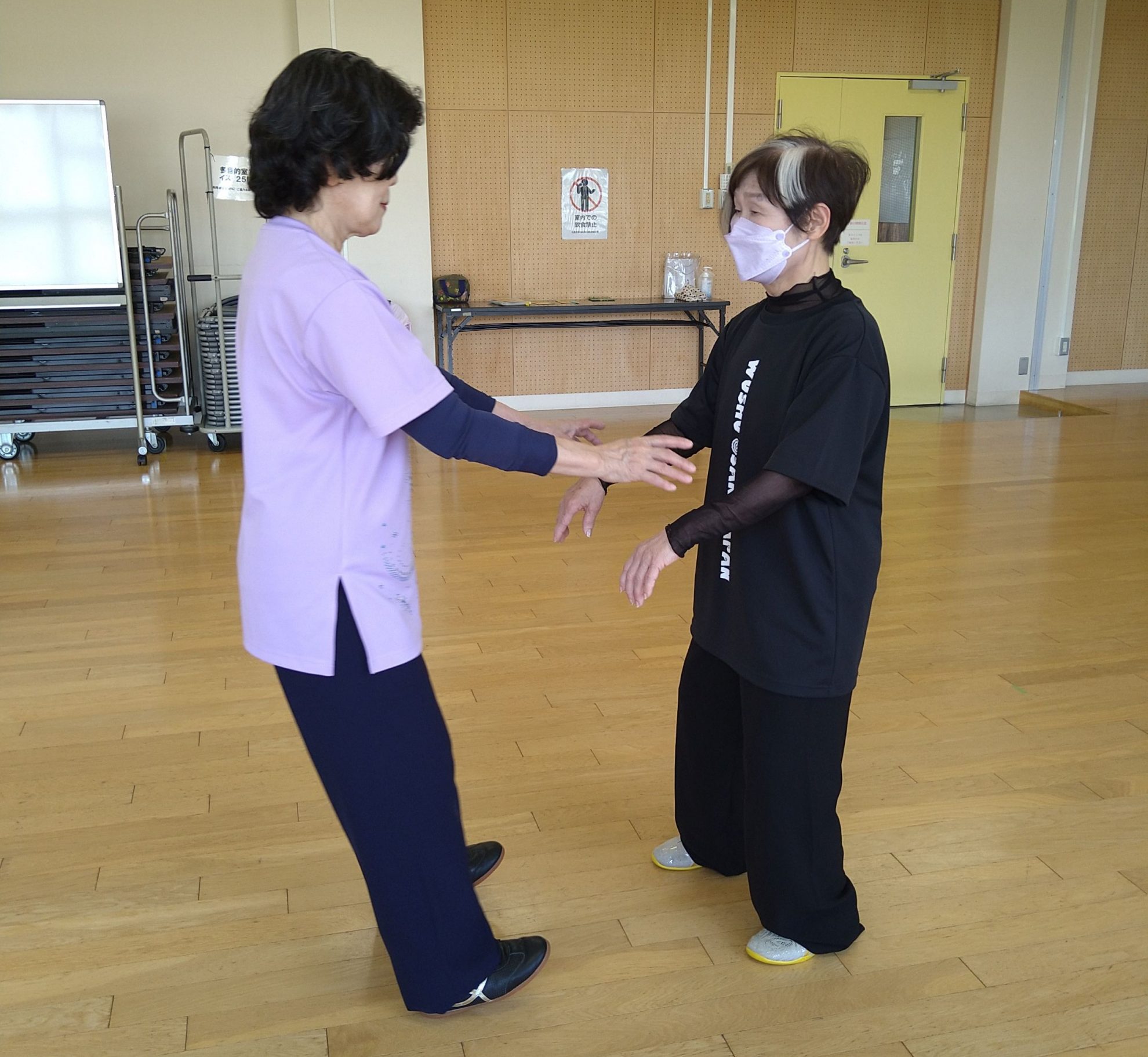 武術太極拳（極み）