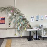 季節の飾り 七夕飾り2025