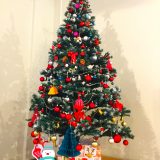 ロビー展示 クリスマスツリー展示