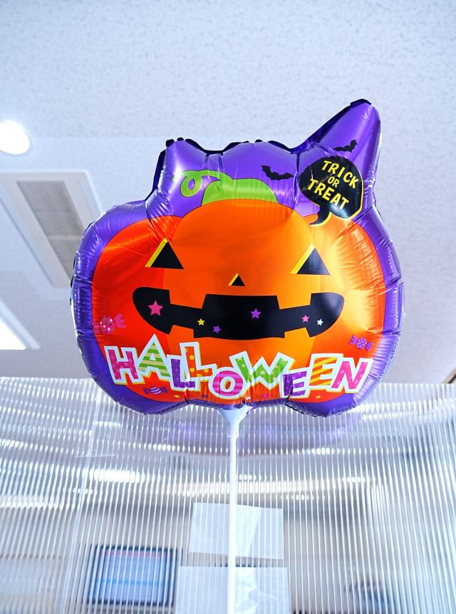 🎃🎃🎃🎃🎃👻🎃🎃🎃🎃🎃
門真市民プラザのエントランスロビーに
今年もハロウィン飾りが登場しました🧡🕸️

かぼちゃやおばけなど、ハロウィンらしいモチーフが
たっぷり詰まった楽しい展示になっています🎃✨
こんなところにも？！👻いろんな場所に居てるので探してみてくださいね。

ハロウィン飾りは10月31日(金)までの予定👀
お気軽にお立ち寄りください♪

#ハロウィン #ハロウィンの飾り付け
#ハロウィン装飾 #HappyHalloween
#Halloween #ジャックオランタン
#門真市民プラザ #市民プラザ
#生涯学習センター
#青少年活動センター
#KADOMATEENSBASE
#門真 #門真市 #古川橋
#大和田 #門真南 #かどま日和